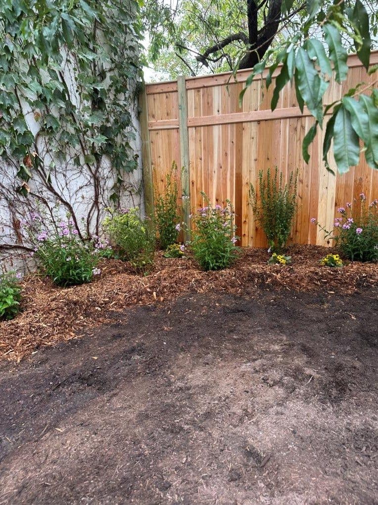 New cedar fence and native plantings